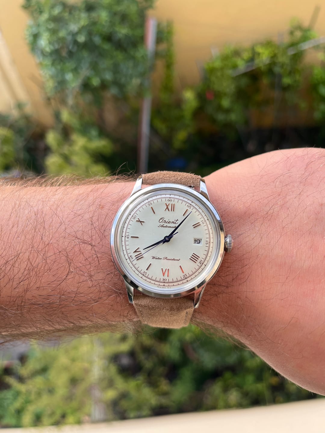 Customer photo review of Reloj Orient RA-AC0027S Bambino 40.5mm Automático [75th Edición Limitada]