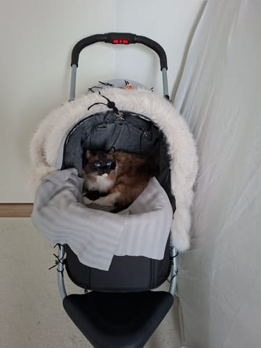 Customer photo review of Comfort Air ECO lemmikkirattaat