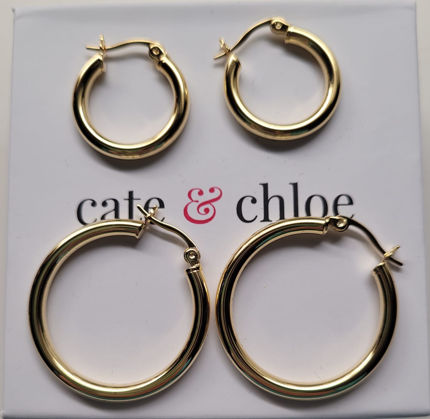 Customer photo review of Amy 18k White Gold Plated 20mm/30mm Hoop Earrings