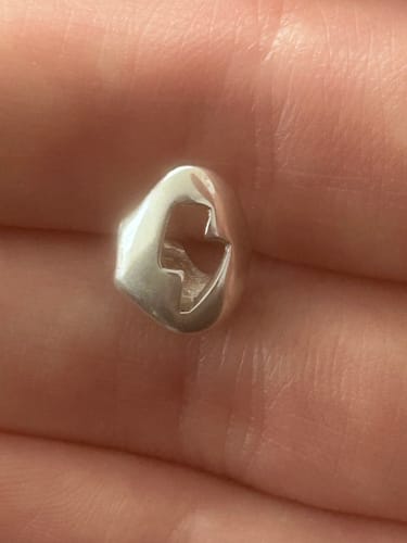 Customer photo review of Bolt Canine