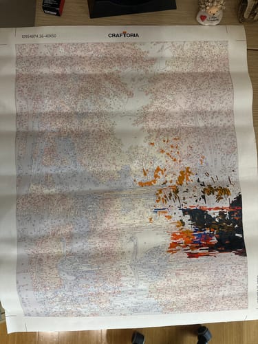 Customer photo review of Swan Lake