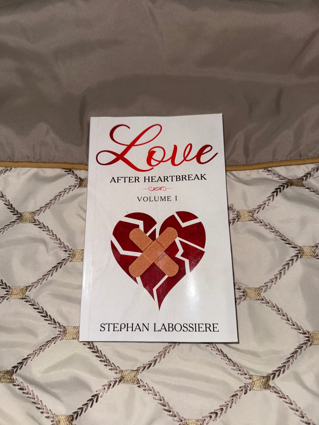 Customer photo review of Love After Heartbreak: Volume 1 (Paperback)