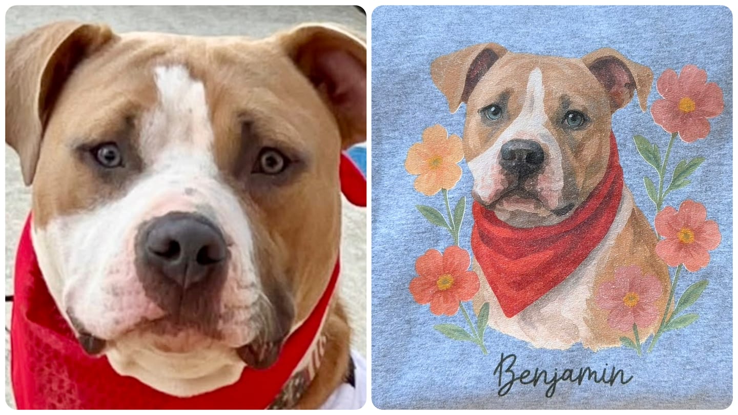 Customer photo review of Custom Pet Sweatshirt for Women - Gouache Floral Painting Style