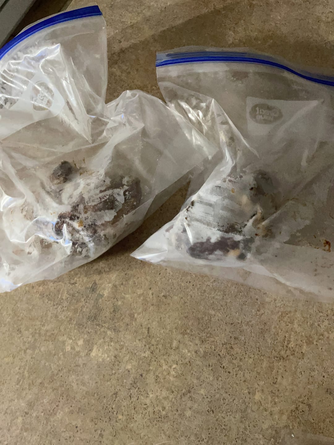 Customer photo review of Famous 'OG' Oxtail Softballs