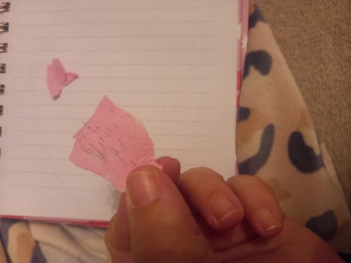 Customer photo review of Hard Wax Sample Size Bag