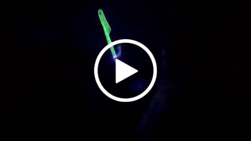 Customer video review of ZipString Aracna