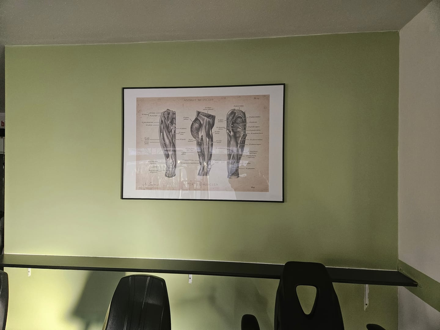 Customer photo review of Muskeln Anatomie
