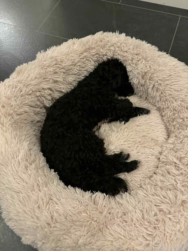 Customer photo review of CalmBed - Ger djup & ostörd sömn