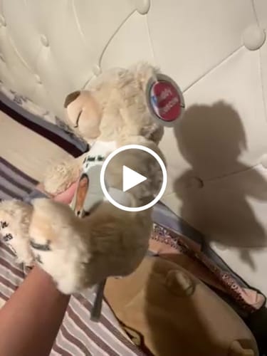 Customer video review of A Cuddle from Heaven Personalised Photo Teddy Bear
