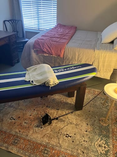 Customer photo review of Basis Surf Paddle Trainer System