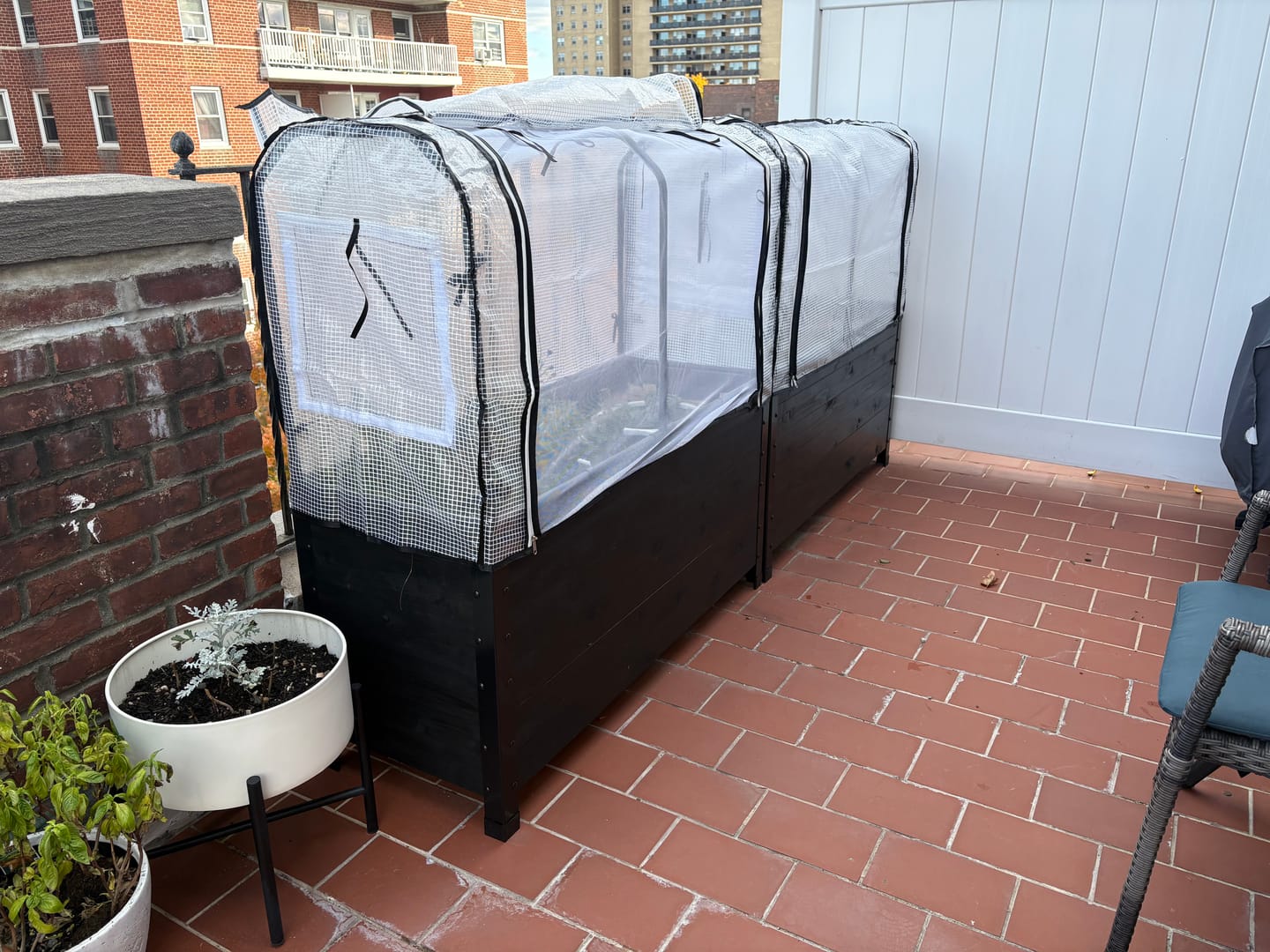 Customer photo review of Greenhouse Cover