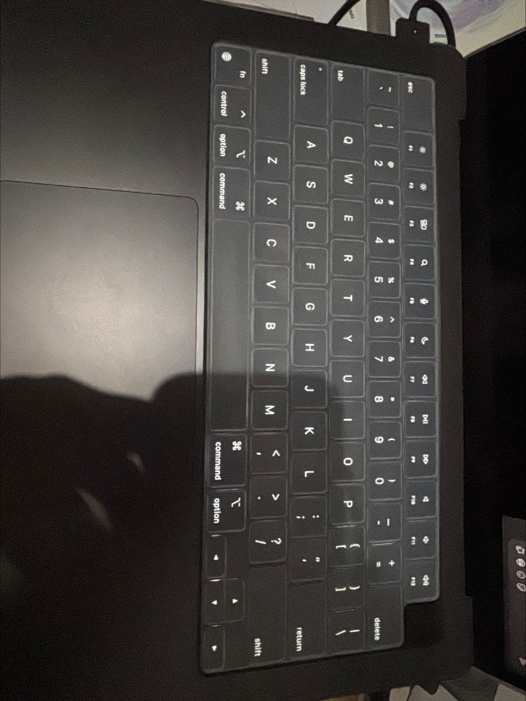 Customer photo review of Keyboard Protector