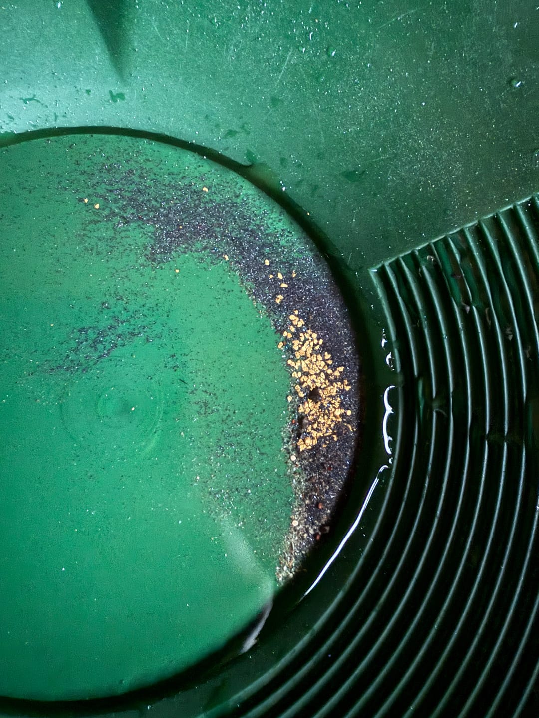 Customer photo review of Bering Sea Paydirt | Dream Mat Caught Gold | Gold Prospecting