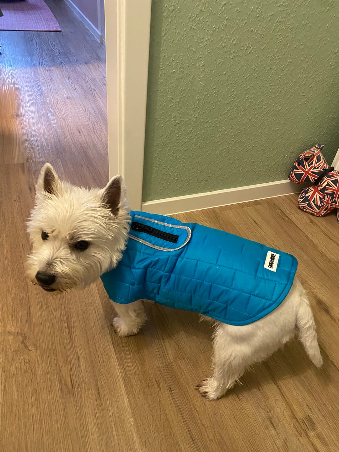 Customer photo review of Emmalove - Wasserdichte Hundeweste
