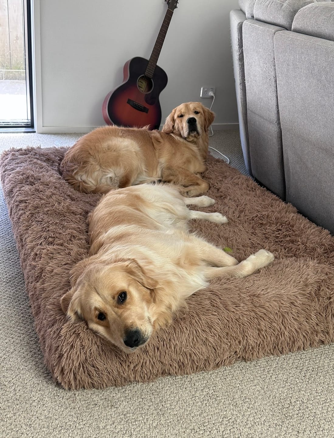 Customer photo review of Orthopaedic Memory Foam Bed