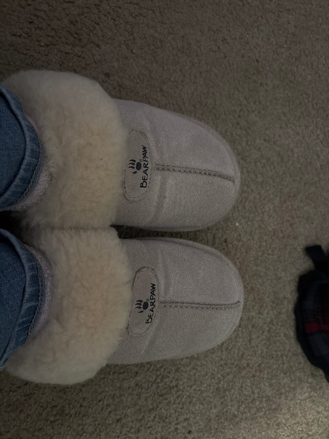 Customer photo review of LOKI II MUSHROOM