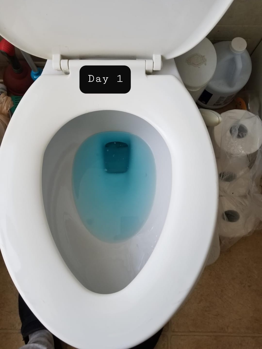 Customer photo review of Cecebear Ultra-Long Lasting Toilet Bowl Cleaner, Septic-Safe (3 Packs)