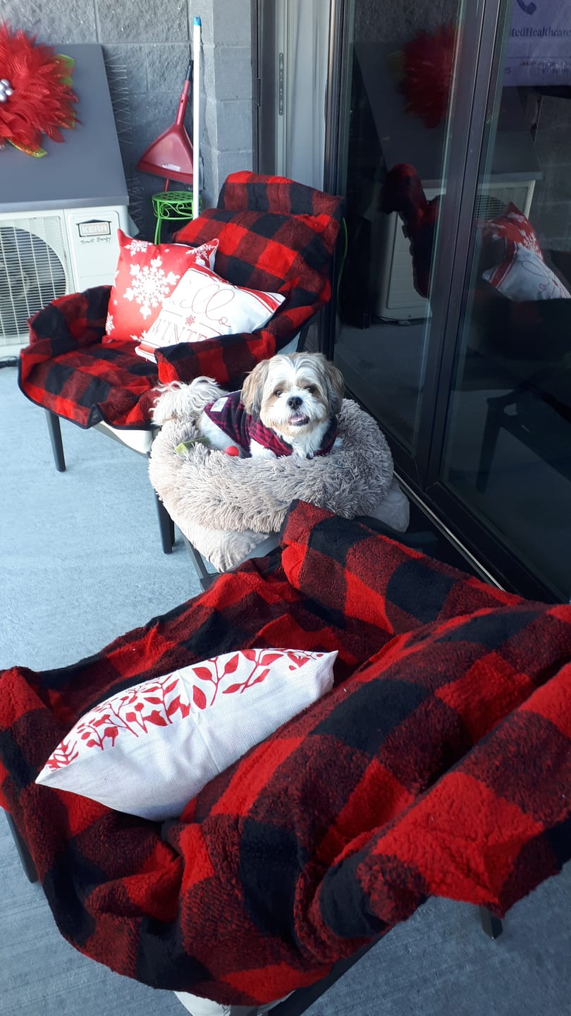 Customer photo review of The Chair Blanket
