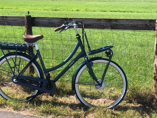 Customer photo review of E-Cargo N3