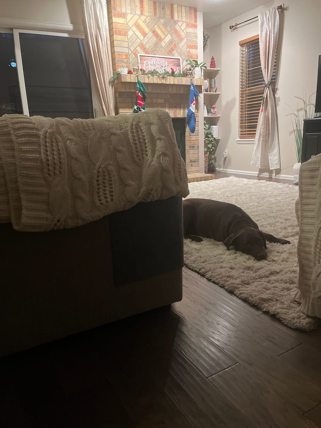 Customer photo review of Multifunctional Cat Scratching Carpet