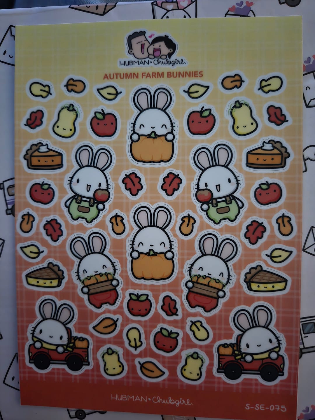 Customer photo review of Autumn Farm Bunnies Sticker Sheet
