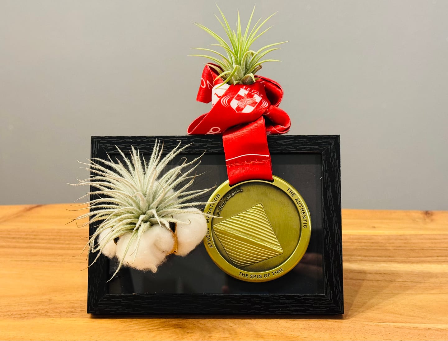 Customer photo review of Tillandsia ionantha