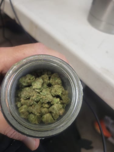 Customer photo review of Wedding Cake Littles - Bulk Littles - Indica