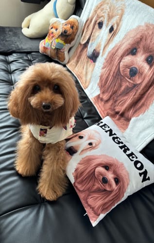 Customer photo review of Petcanva® 品質補償サービス