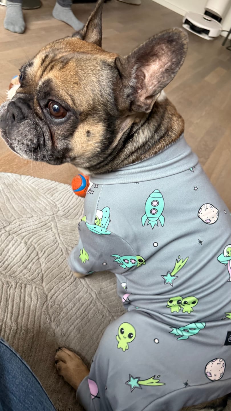 Customer photo review of Dog Pajama - Alien