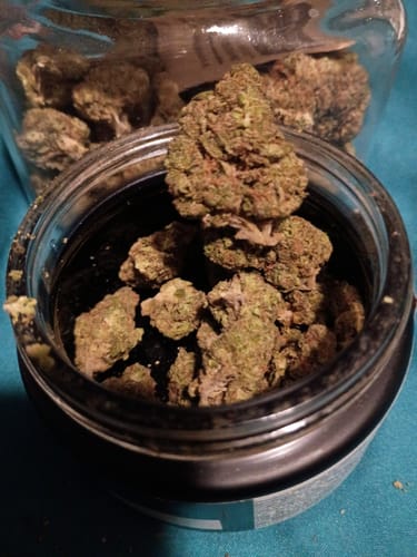Customer photo review of Sour Diesel THCA Flower