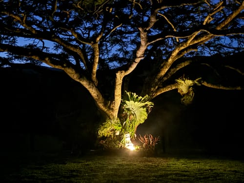 Customer photo review of GardenBrite™ Rust-Proof Solar Ground Light Pack