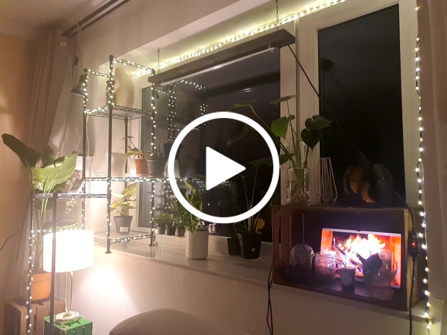 Customer video review of Large Aroid/Orchid Pots