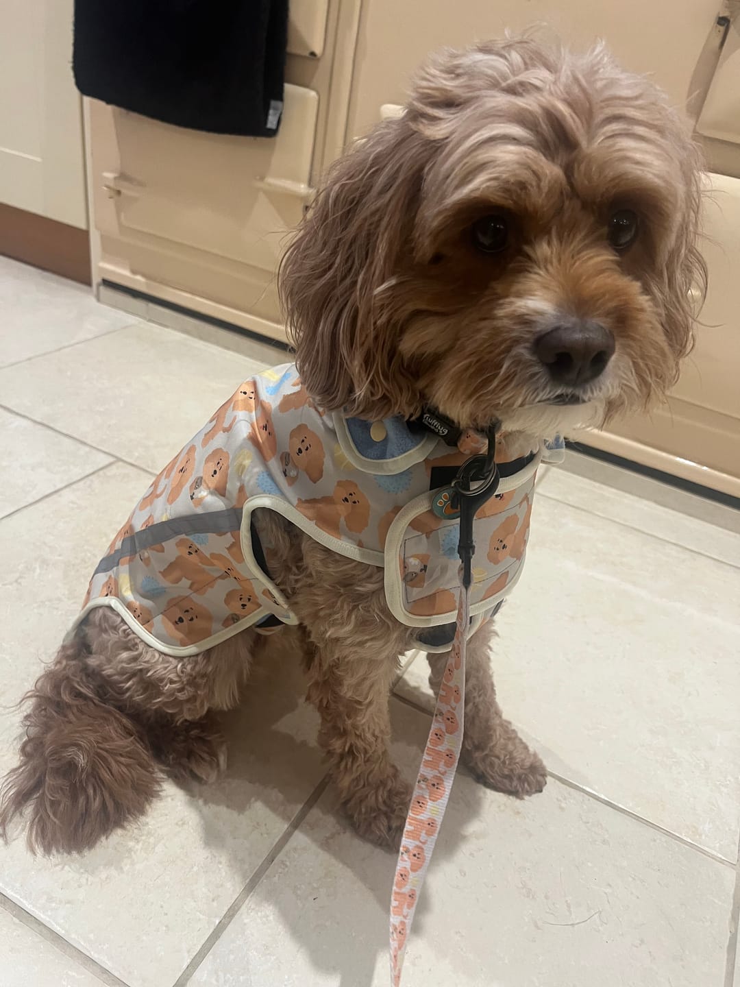 Customer photo review of Rain Jacket - Curly Club