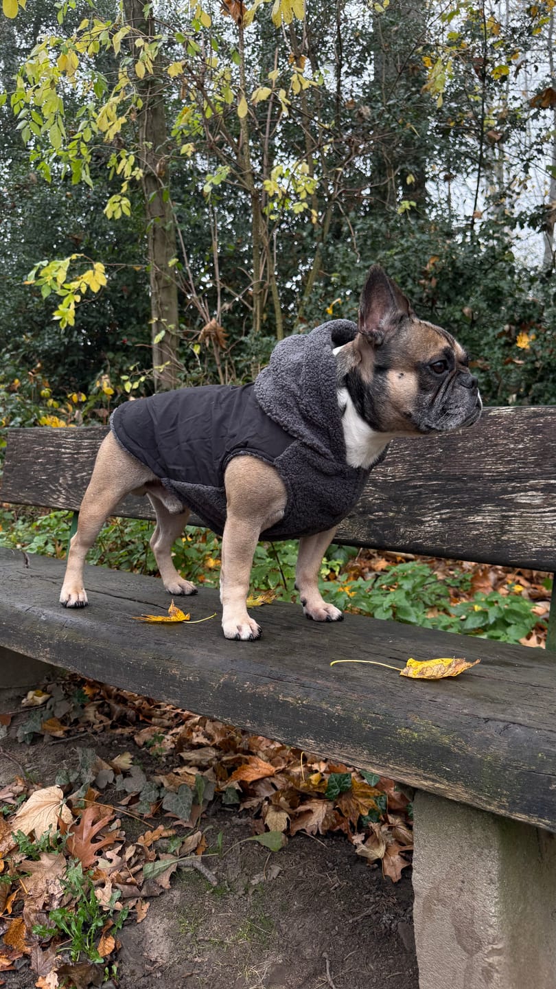 Customer photo review of Reversible Sherpa Jacket - Grey and Black