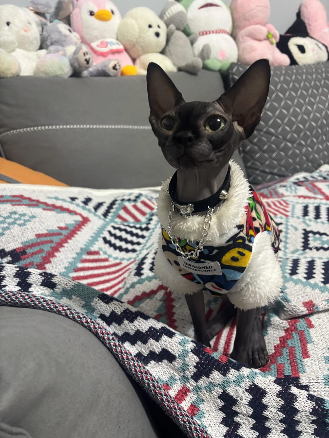 Customer photo review of 🎁 FREE - Gothic Cat Motif Spiked Choker