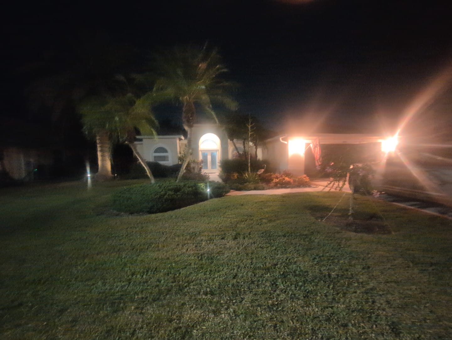 Customer photo review of TSUN Solar Spotlights For Trees Warm White