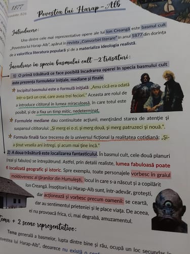 Recenzie cu fotografie de la un client despre Carte Română Bacalaureat Bacademia (temă și viziune, caracterizare, relație) - Ediția II