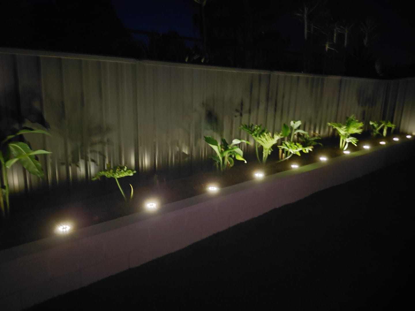 Customer photo review of SolaGarden™ LED Ground Light Pack