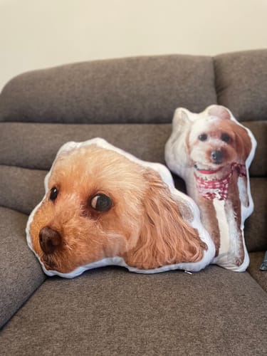 Customer photo review of 本物そっくり♪ペットクッション