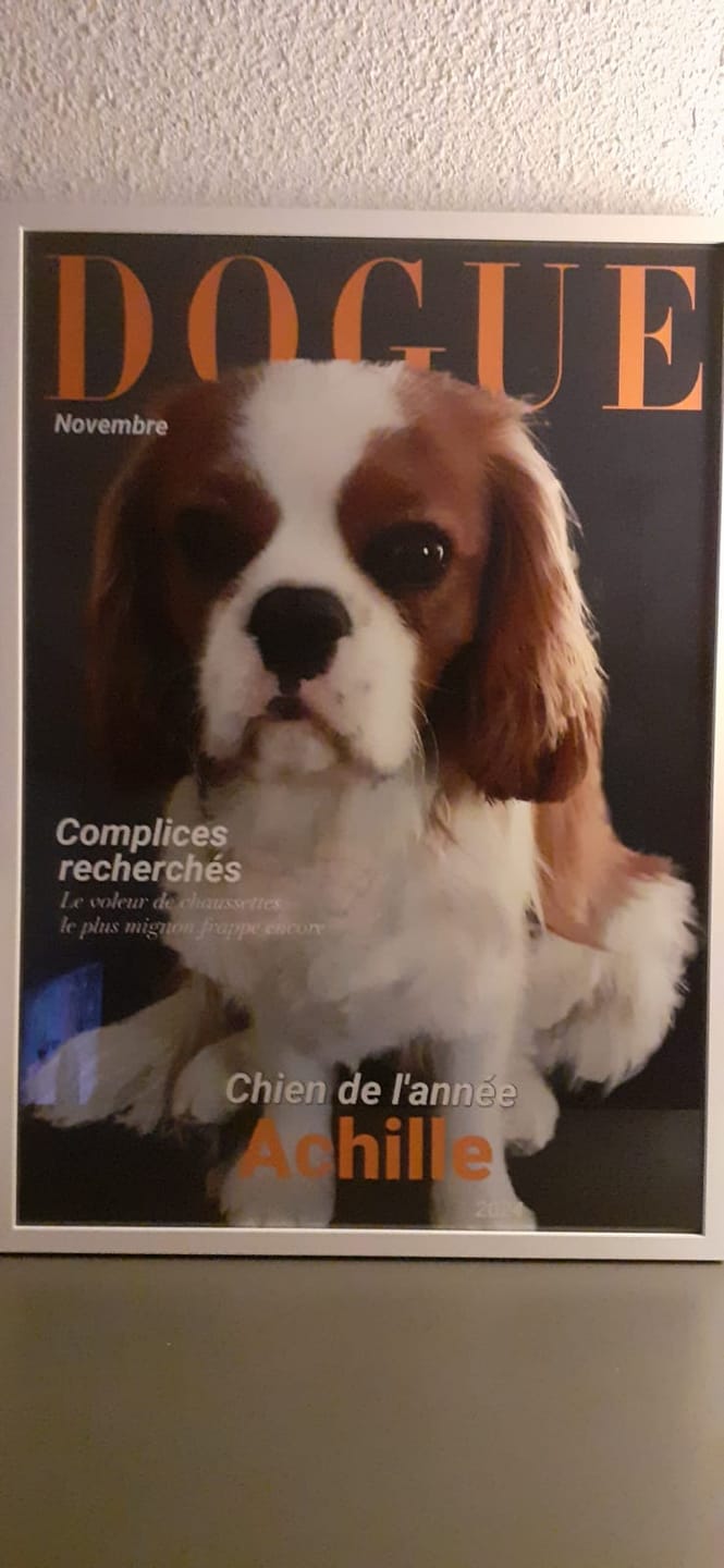 Customer photo review of Dogue - Poster personnalisé