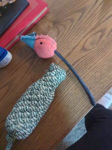 Customer photo review of Fly & Fetch Launching Toys