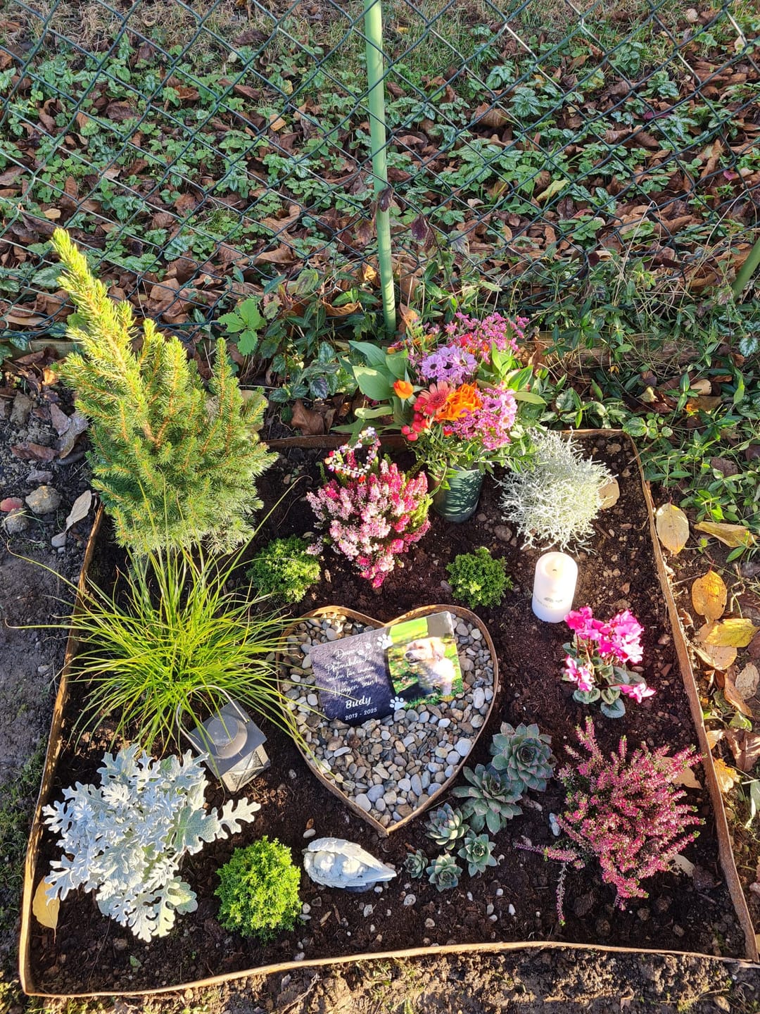 Customer photo review of Hunde Gedenktafel mit Foto & Spruch (UV- & Wetterfest)