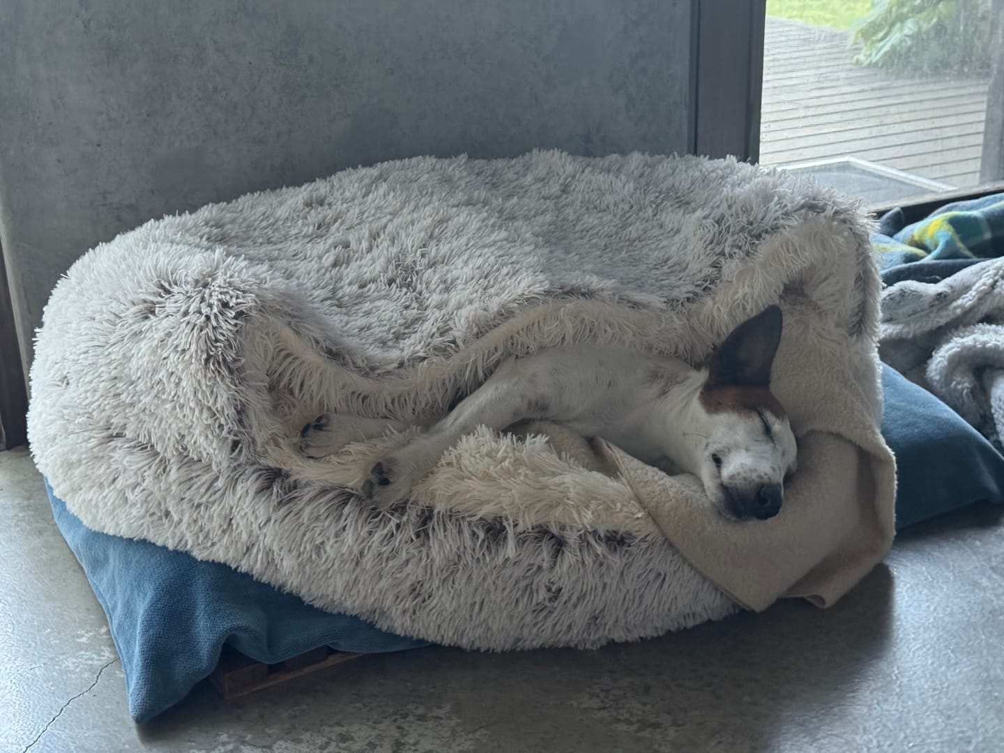 Customer photo review of Snuggle Cave