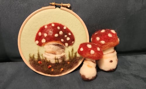 Customer photo review of Sophie Wheatley's Felted Fungi Supplies Box