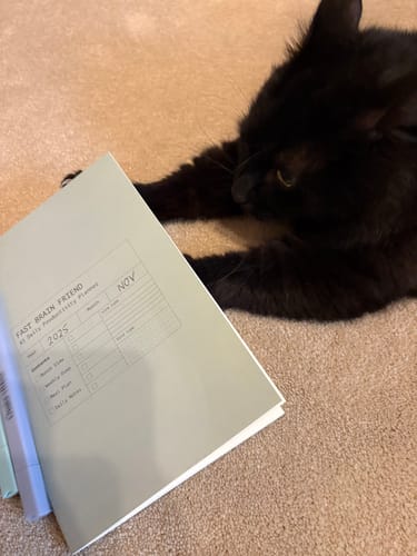 Customer photo review of Zero-Bleed Highlighters Pack-6