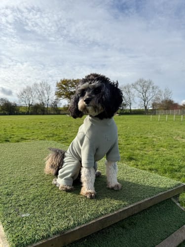 Customer photo review of Matcha | The Capsule Fleece Bodysuit