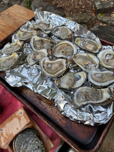 Customer photo review of The OysterClamp 2.0