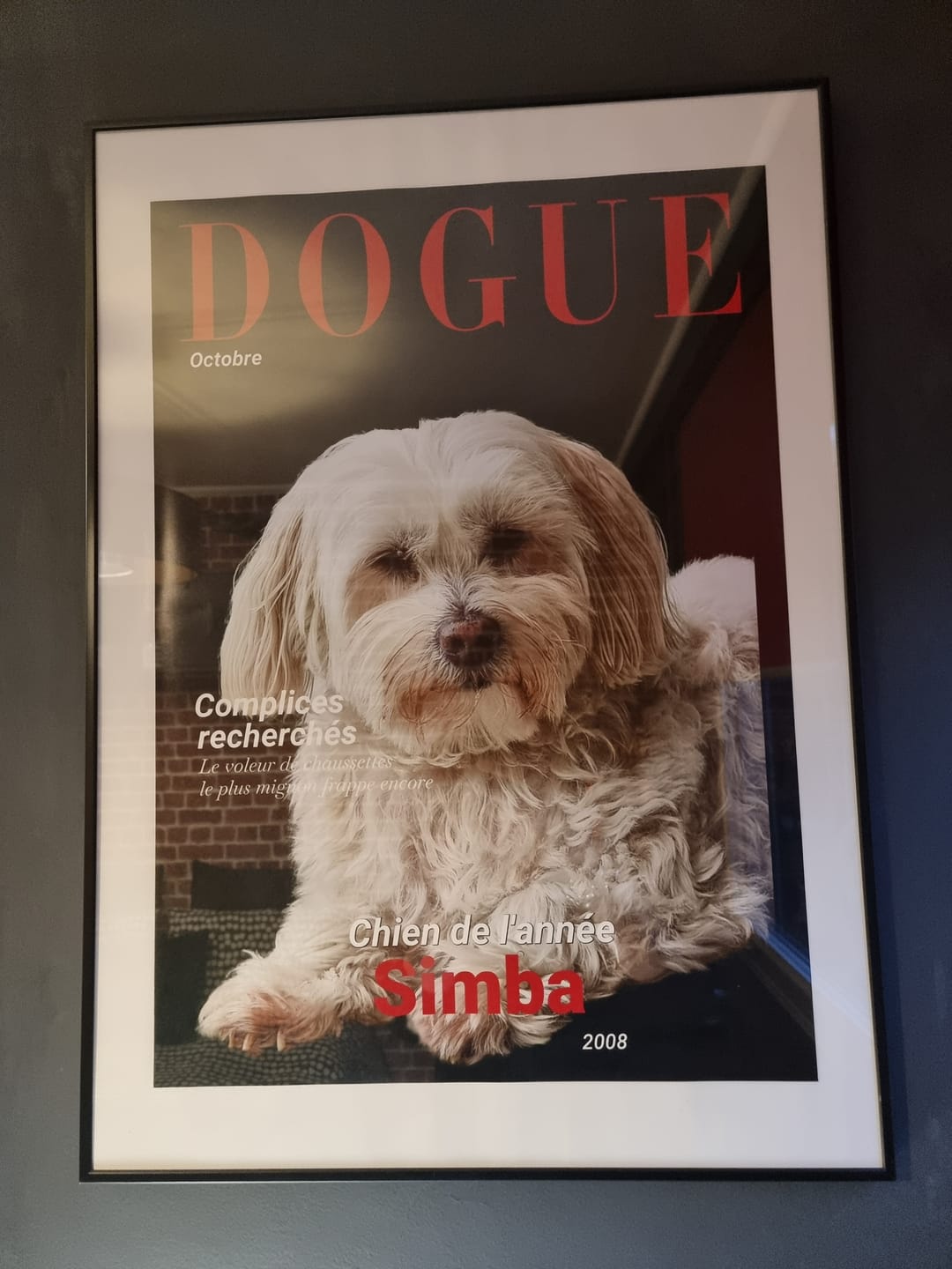 Customer photo review of Catsmopolitan - Poster personnalisé
