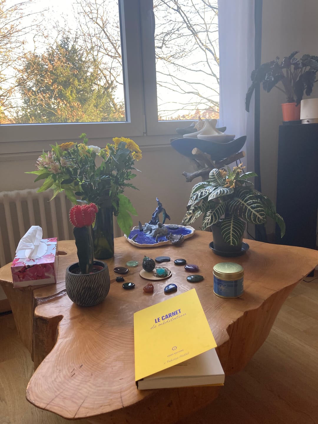 Customer photo review of Carnet de Méditation