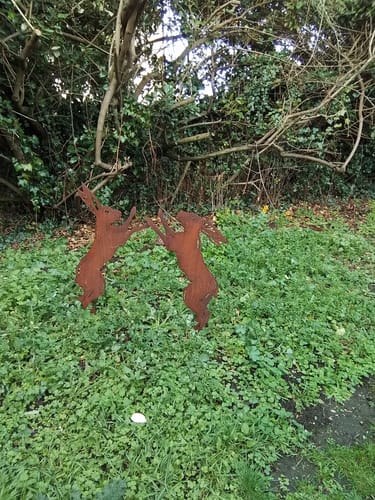 Customer photo review of Pair Of Rusty Metal Boxing Hares Garden Decoration